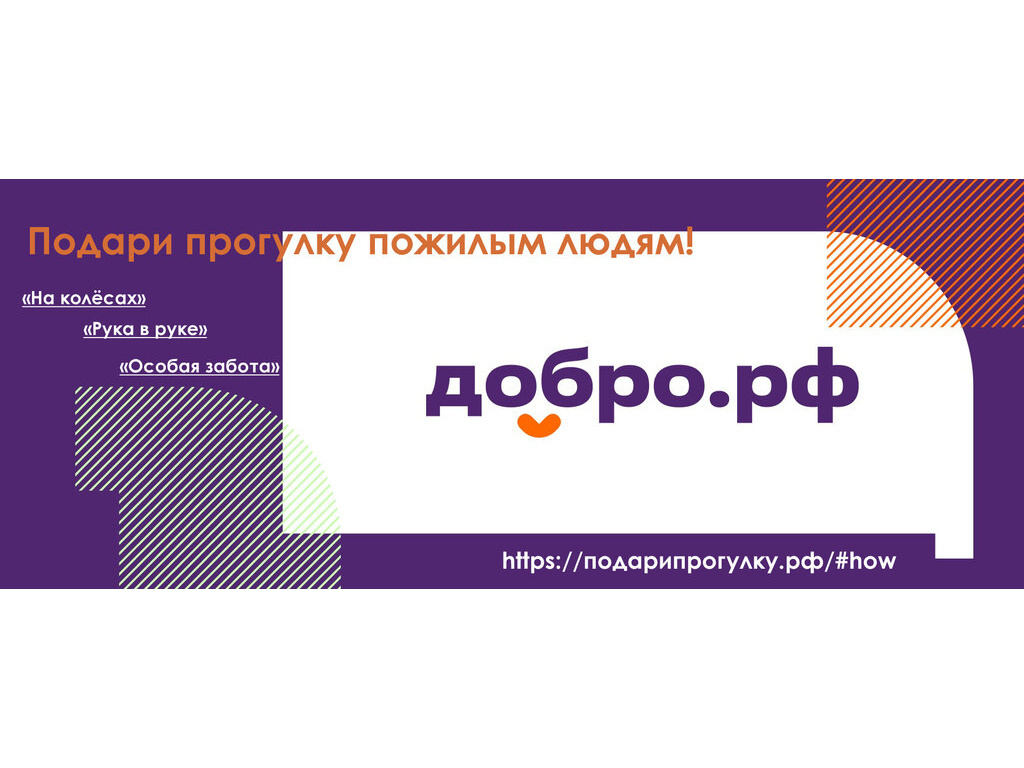 Подари прогулку!