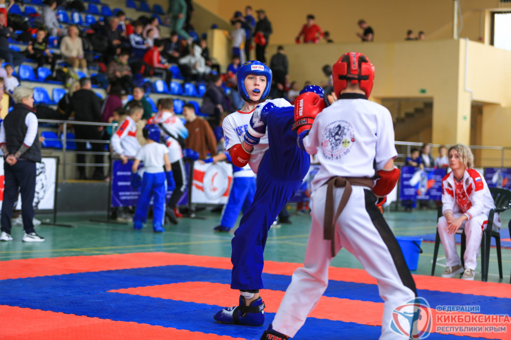 Янис волгоград кикбоксинг. Юфо по кикбоксингу. Нгку 2023. Кикбоксинг чемпионат юво. Юфо кикбоксинг.