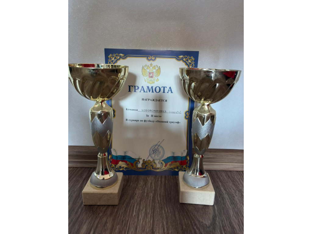 Открытый республиканский детско-юношеский турнир по футболу «Осенний триумф» Открытый республиканский детско-юношеский турнир по футболу «Осенний триумф»